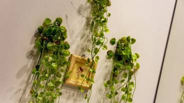 内装の詳細 / 16