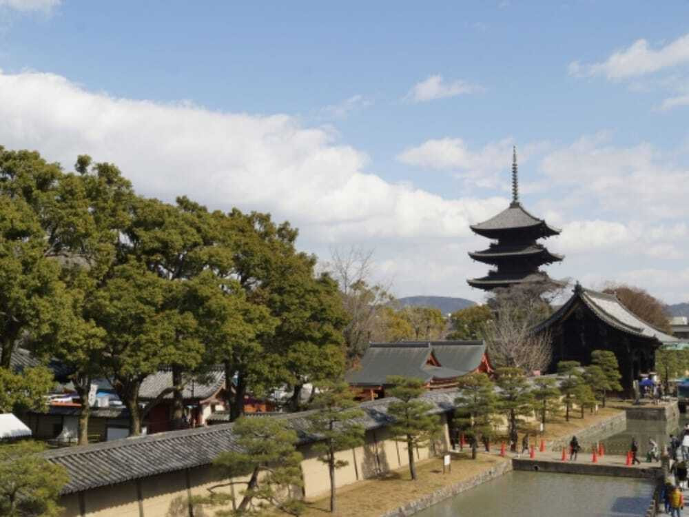 ランド ビュー