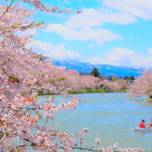 GWのお出かけに♪暖かくなったら行きたい！GWが見頃の桜の名所7選