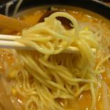 ラーメン だるま本舗（ラーメンダルマホンポ）