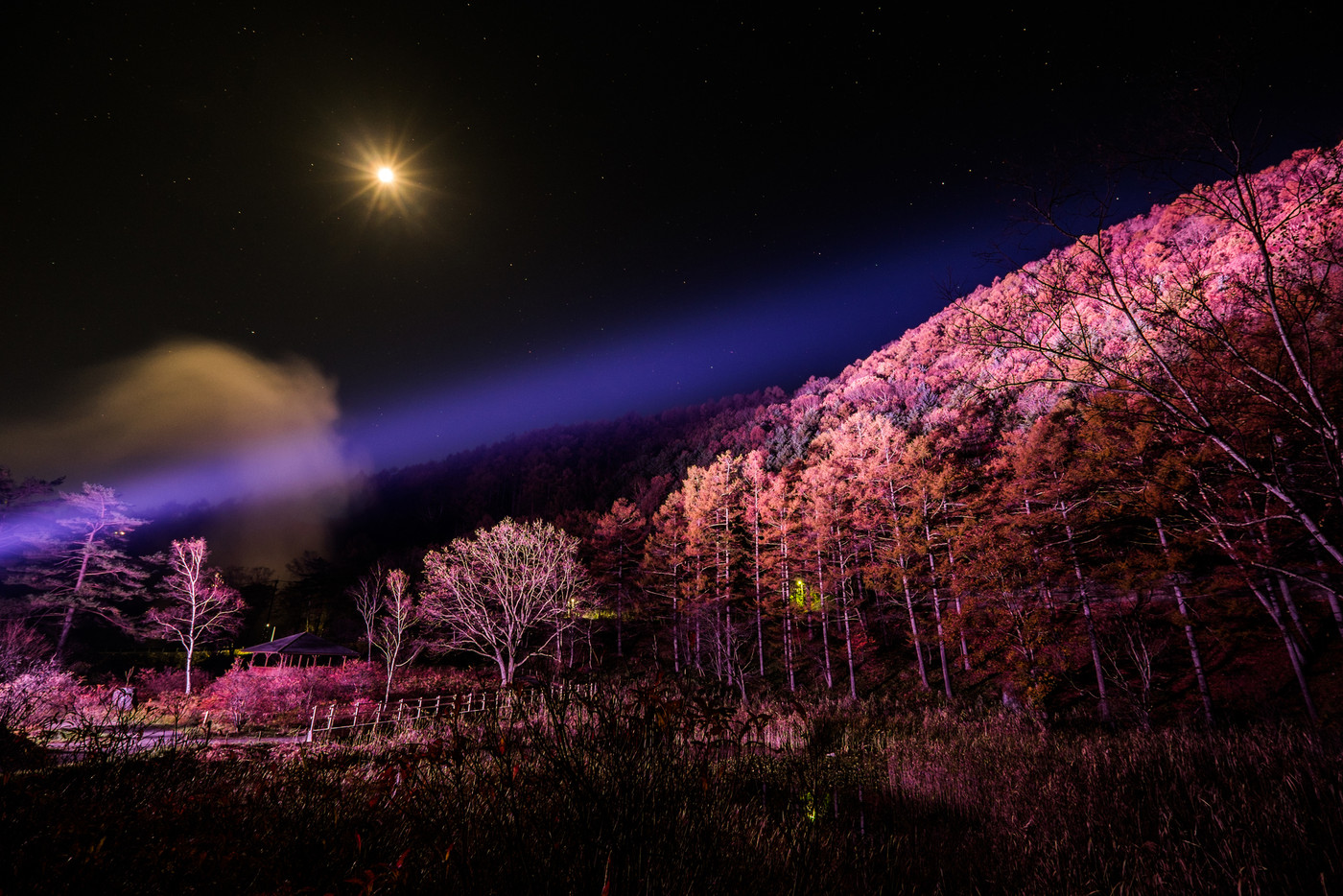 草津温泉 鬼の相撲場ライトアップ