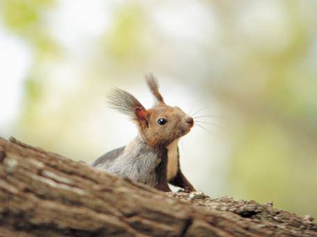 森のスパリゾート 北海道ホテル / 2