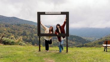 テラス / パティオ / 28