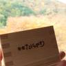 chirimenjako348さんの写真