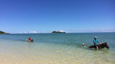 マリンアクティビティ / 5