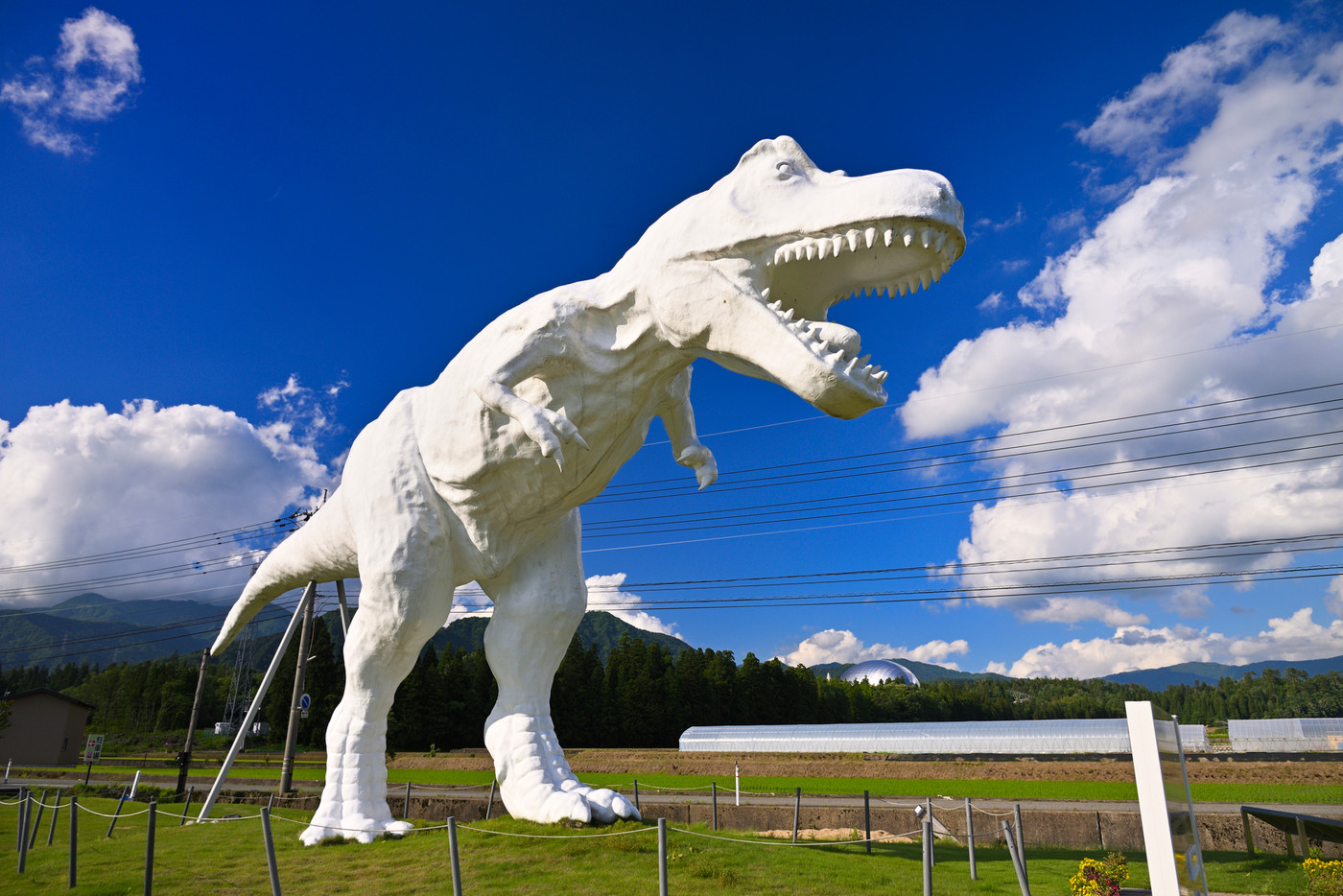 ホワイトザウルス(福井県勝山市村岡町)