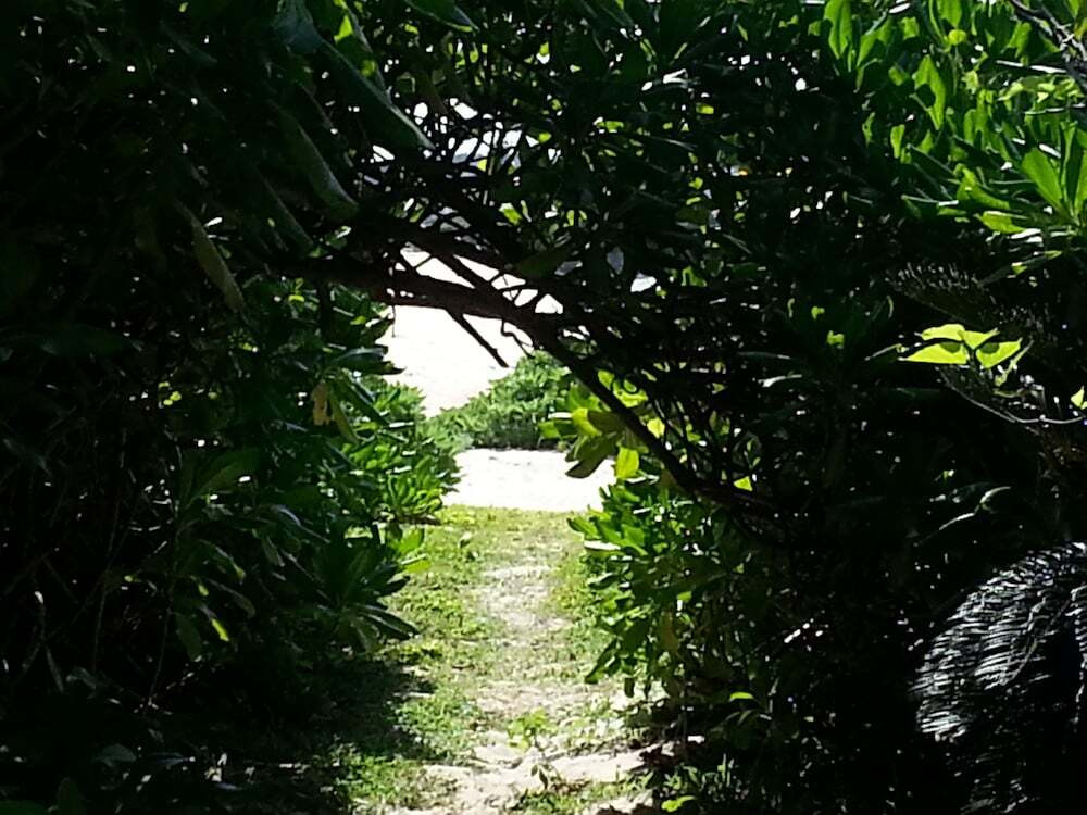 施設からの眺望