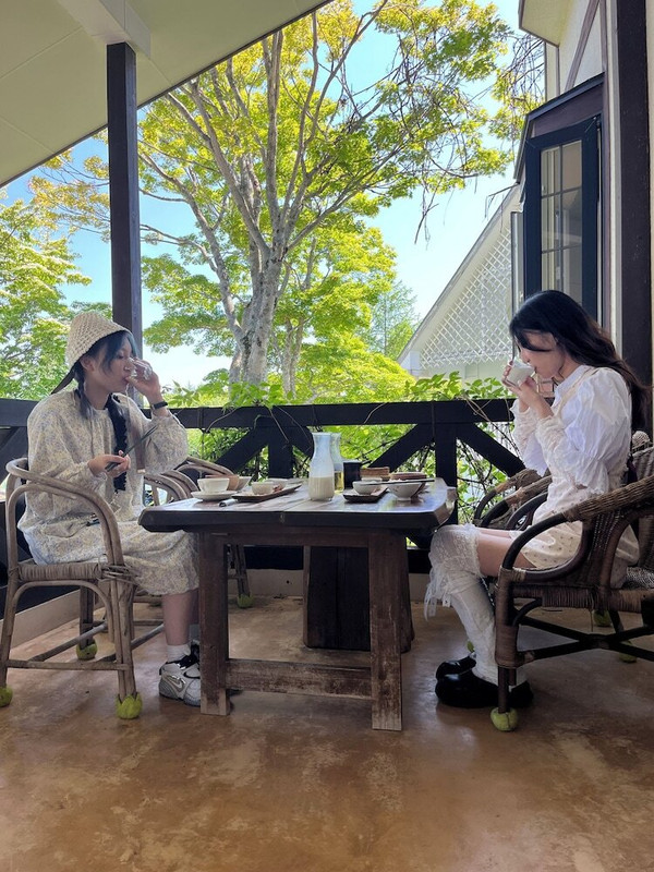 テラス / パティオ