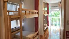 ホステル パンダのねぐら（奄美大島）