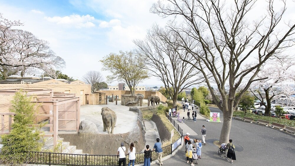 子供用の遊び場 - 屋外