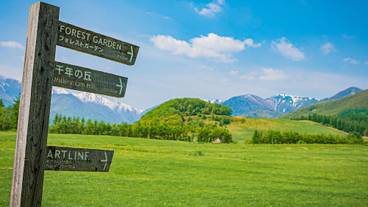 観光スポット / 9