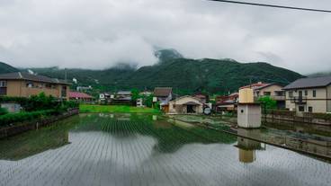 施設からの眺望 / 17