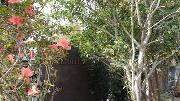 子供用の遊び場 - 屋外 / 4