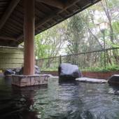 湯河原温泉 大滝ホテル（神奈川県 旅館） / 3