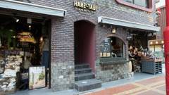 ハレタビ トラベラーズインヨコハマ