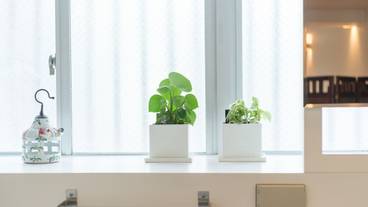 バスルーム / 26