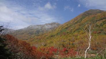 マウンテン ビュー / 9