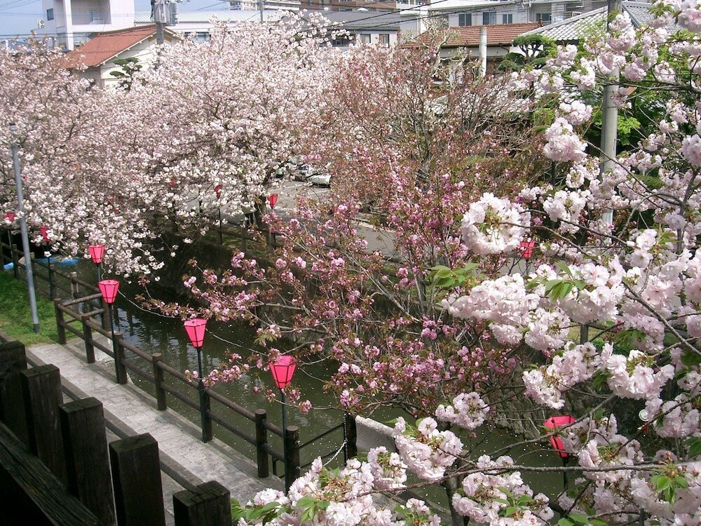 施設からの眺望