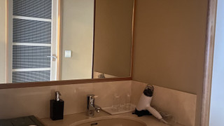 和室 スタンダードルーム 禁煙