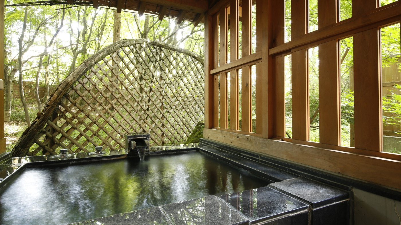 4.蓼科温泉 藍染と懐石料理の宿 たてしな藍／茅野市3431022