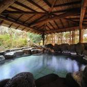 かみのやま温泉 仙渓園 月岡ホテル（山形県 旅館） / 3