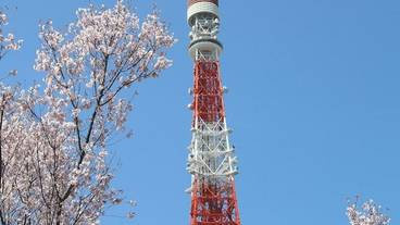 観光スポット / 5