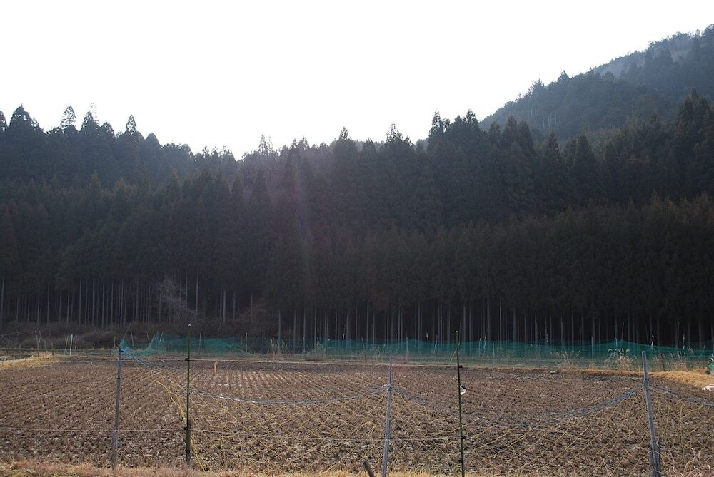 部屋からの景観