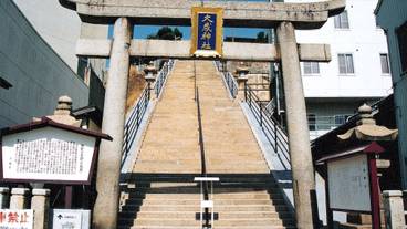 シティ ビュー / 13