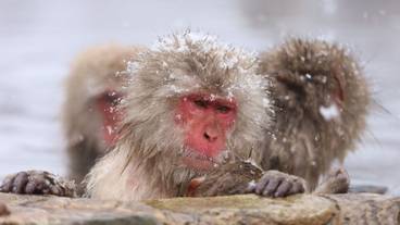 施設からの眺望 / 9