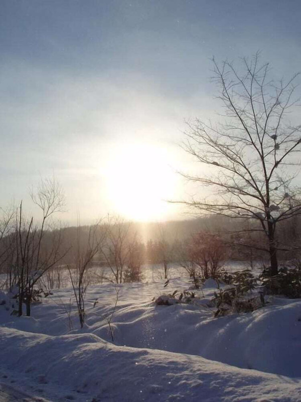 スノー スポーツとスキー