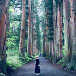 癒しと元気をもらいに行こう。神秘のパワースポット「戸隠神社」へ詣でるプラン【長野】