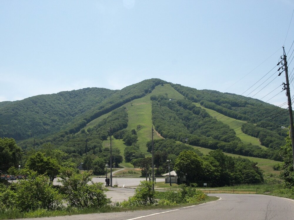 マウンテン ビュー