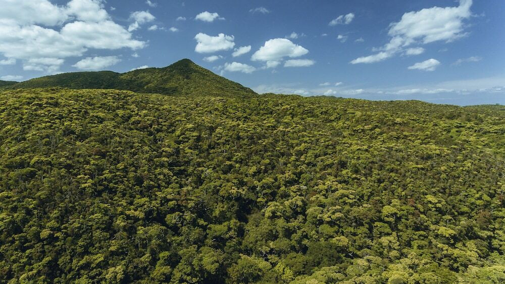 部屋からの景観