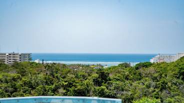 テラス / パティオ / 25