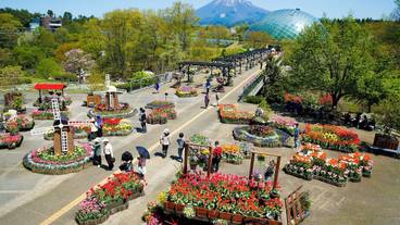 観光スポット / 6