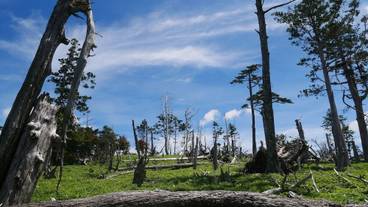 観光スポット / 6