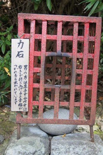 奇祭「おんだ祭」に衝撃・・・の神社でまさに縁結びを951532