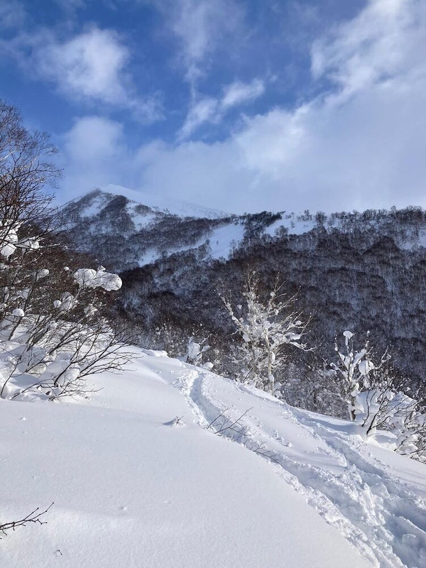 スノー スポーツとスキー