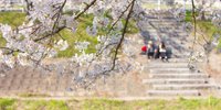 下呂温泉と桜の名所で春を感じる旅へ♡カップルにおすすめの旅館6選