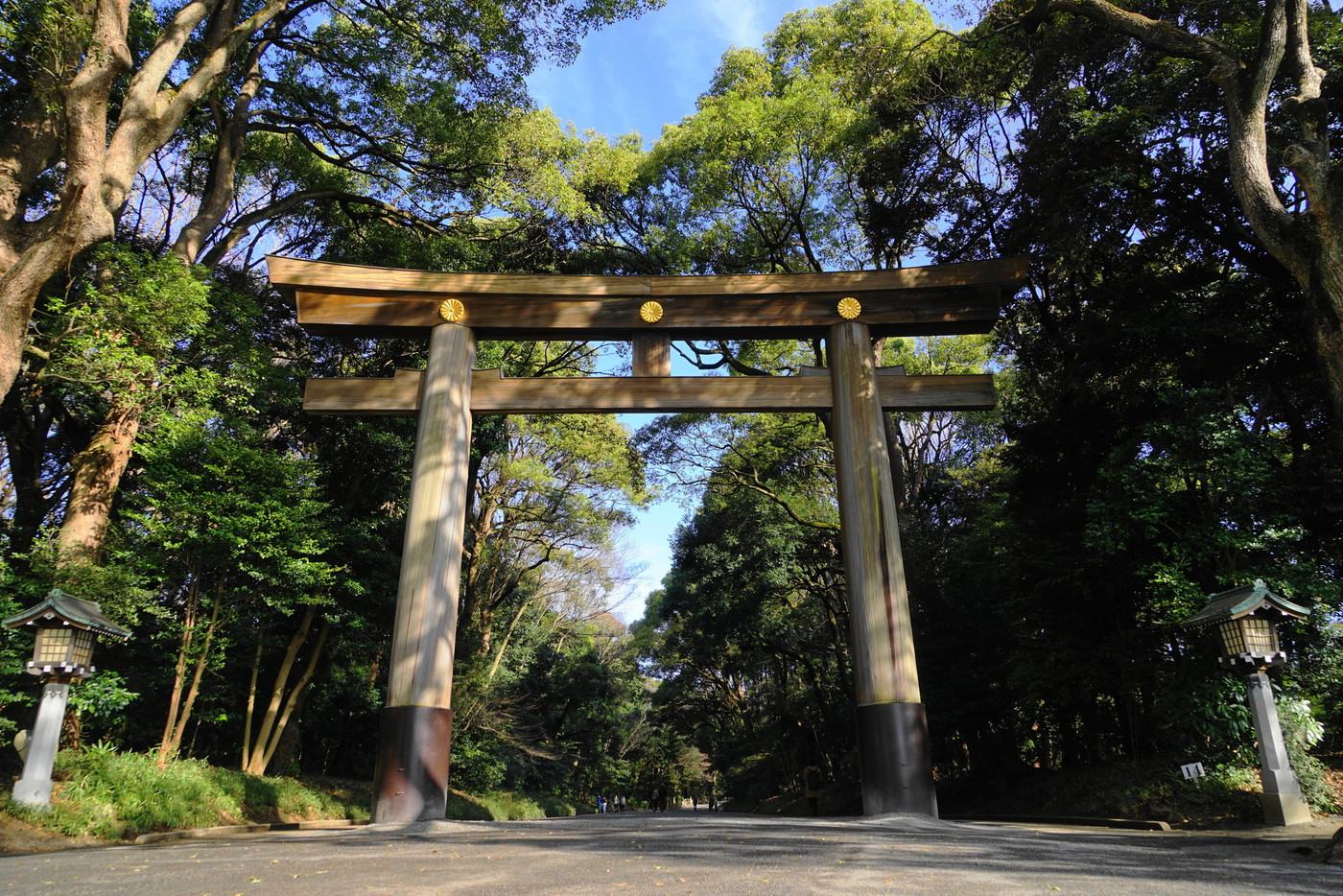 3月 渋谷314明治神宮第一鳥居・南参道原宿口