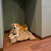 Rakuten STAY VILLA 那須（栃木県 コテージ・ロッジ・一棟貸） / 5