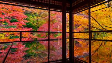 紅葉の瑠璃光院 / 6