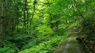 施設の敷地 / 24