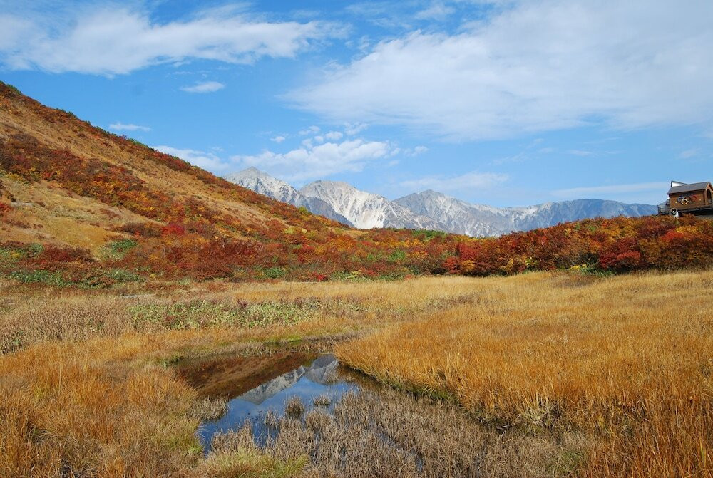 マウンテン ビュー