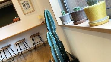 客室の設備とサービス / 30