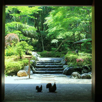 宙 SORA 渡月荘金龍3845694