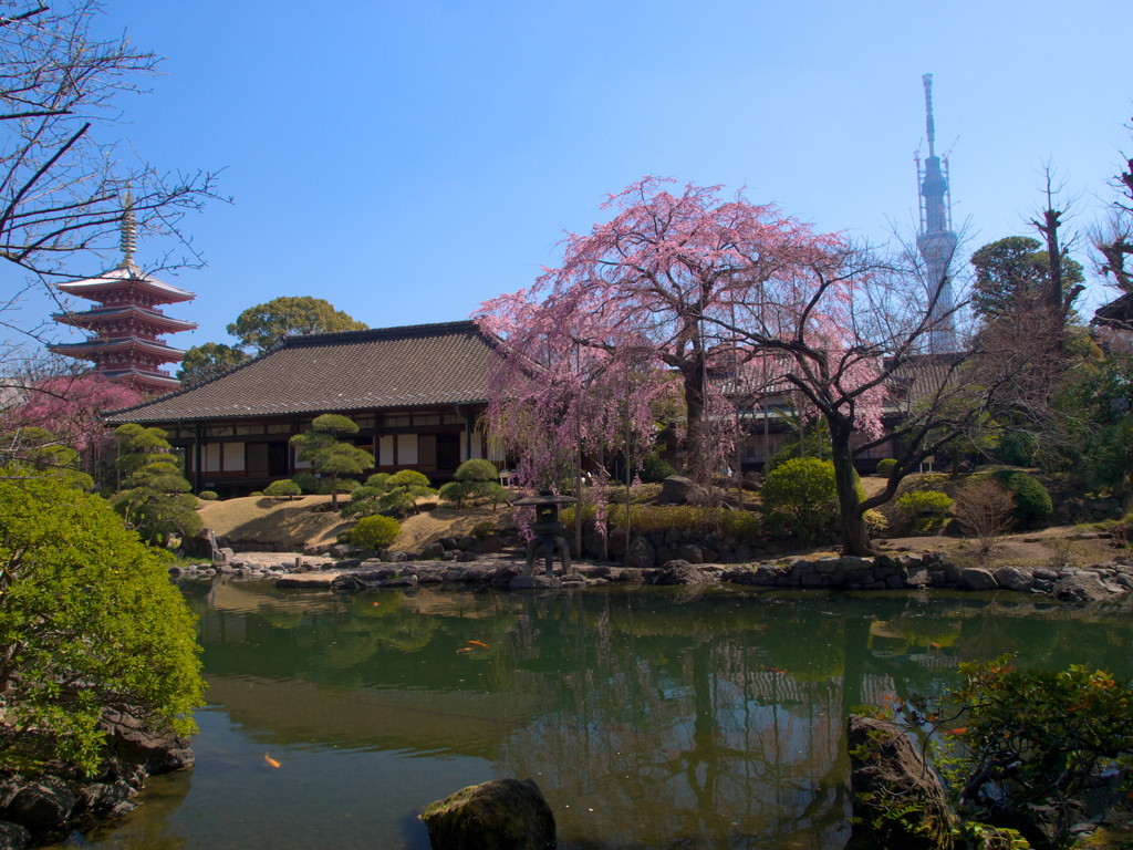 浅草寺961465