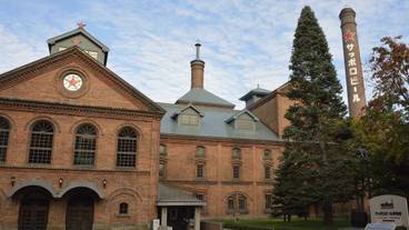 観光スポット / 13