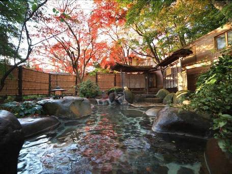 修善寺温泉 国の登録文化財の宿 新井旅館 / 5