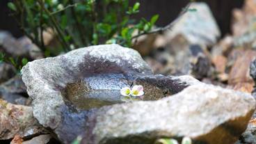 部屋からの景観 / 23
